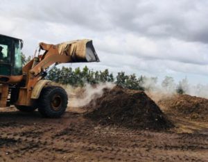 Steaming compost piles at Reliance farm