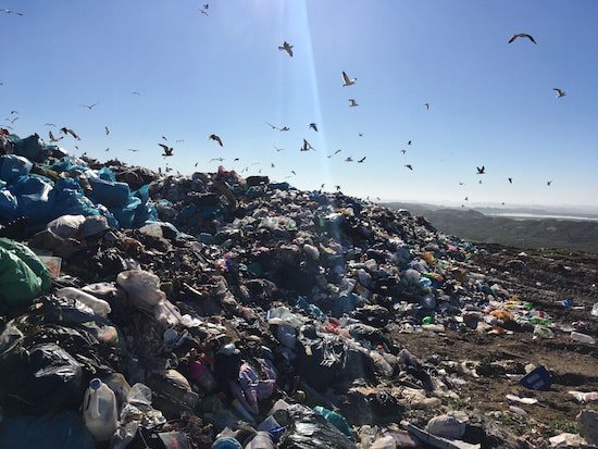 Piles of trash with birds flying above