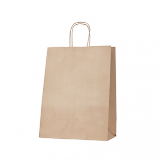 Thriftypak Kraft Gusseted Bag wth Paper Twist Handles