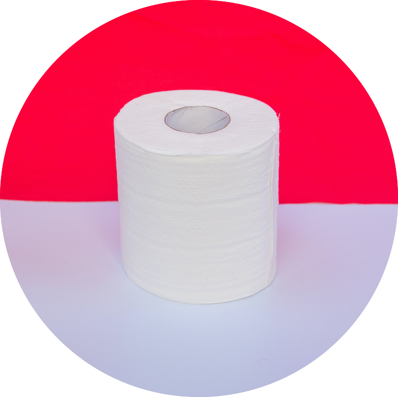 A roll of GREEN HOME Toilet Paper agains a pink background