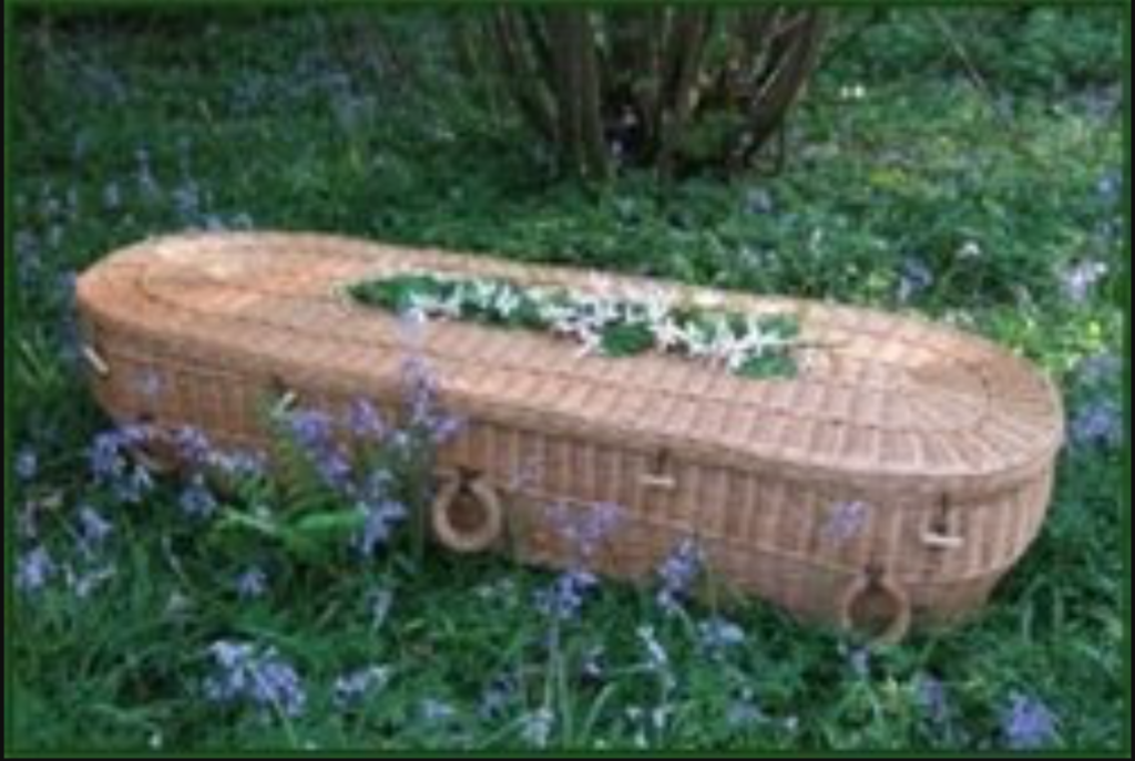 A woven basket coffin standing on grass with flowers on top