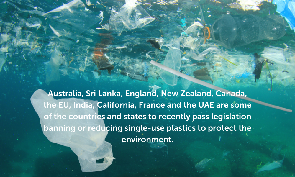 Single use plastic bans around the world
